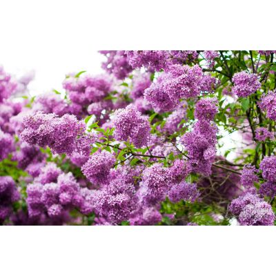 價格 廠家 中國供應(yīng)商