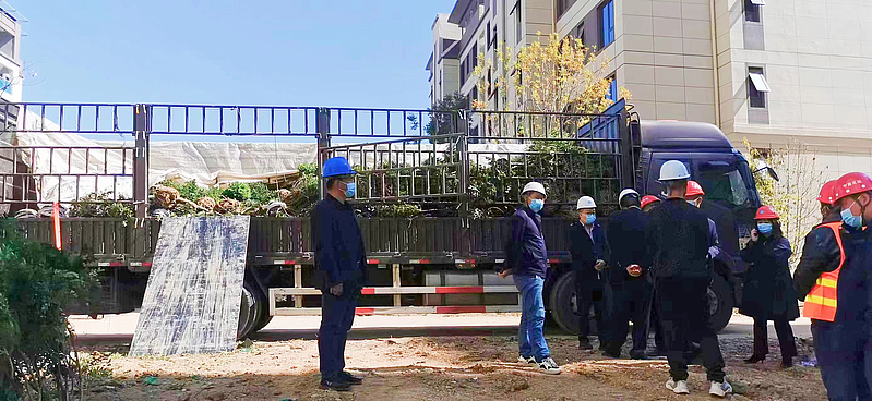 延安市森林病蟲害防治檢疫站 守護陜西種苗健康的綠色衛士