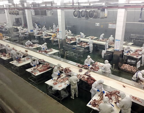 重慶農商行 強化銀電合作，以電力大數據賦能企業復工復產——市場調研分析